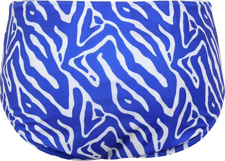Actual product image Regatta Womens/Ladies Paloma Abstract Swim Briefs (40)