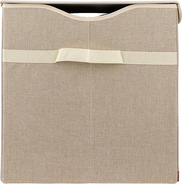 Image du produit Bieco Boîte à poussière