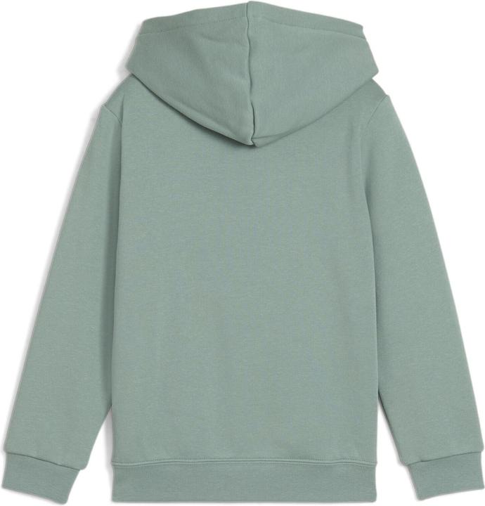 Image du produit Puma Sweat à capuche ESS No. 1 Logo FL PS (116)