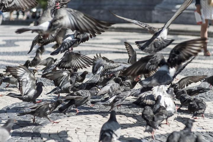 Immagine prodotto Handevision Ibelux 40mm F0.85 APS-C MFT nero (Micro Four Thirds, APS-C / DX, Micro Four Thirds)