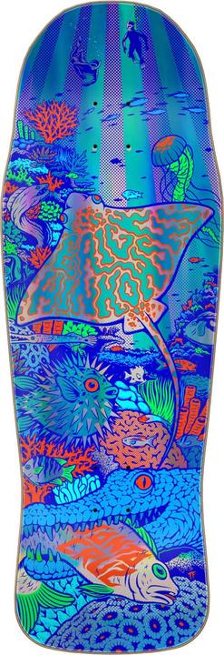 Produktbild Santa Cruz Aquatic (10.34")