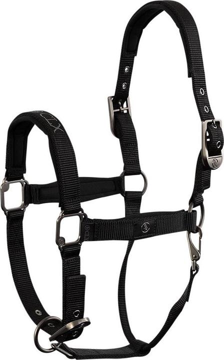 Immagine prodotto BR Equestrian Equipment Clx