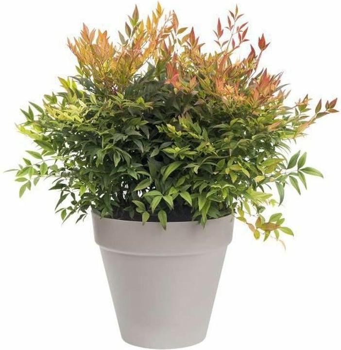 Actual product image Elho Flower pots (48.50 x 48.50 x 44.50 cm)