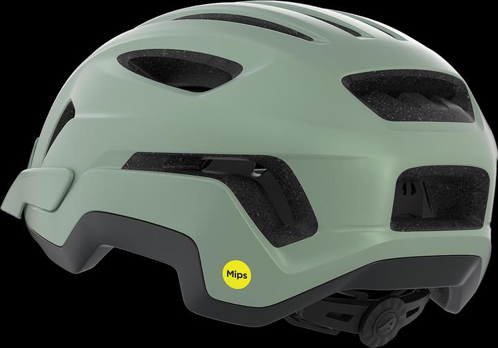 Productafbeelding Alpina Paranus Mips (55 - 59 cm)