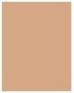 Immagine prodotto Dermacol Copertura Xtreme (4 (221))
