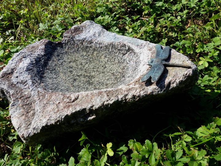 Neogard Mangeoire pour oiseaux