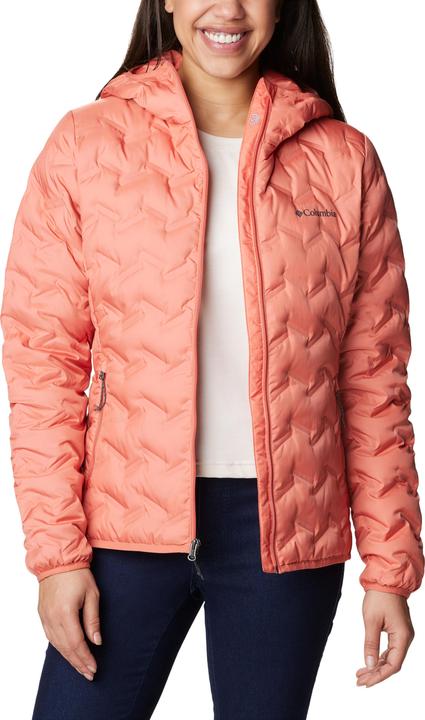 Image du produit Columbia Delta Ridge Veste à capuche Down (M)