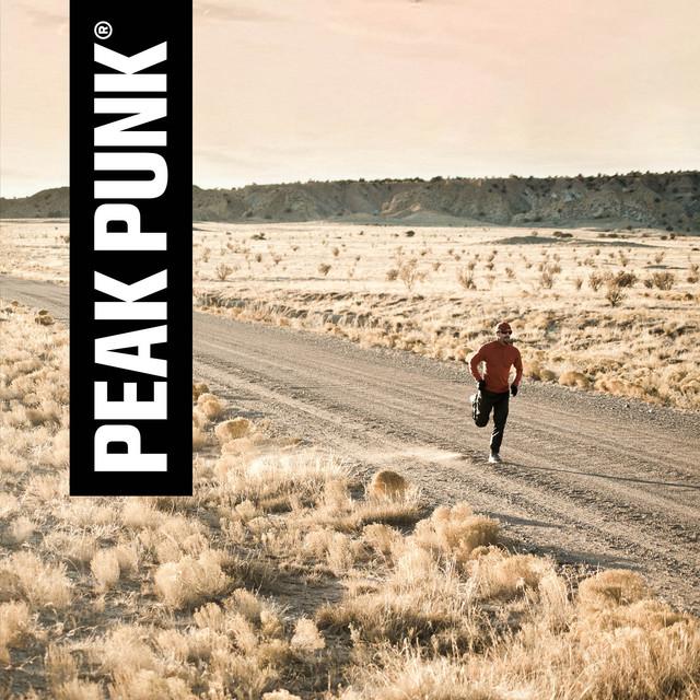 Produktbild Peak Punk Bio Protein Bar (Haselnuss, 12 Stk., 55 g)