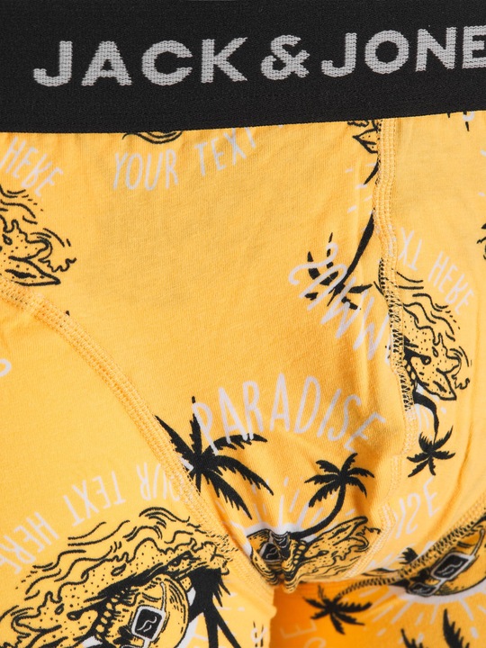Actual product image Jack & Jones Paradise (XL, pack of 3)