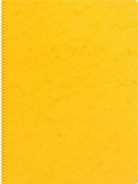 Produktbild Novooo Spiralheft assortiert (A4, Kariert, Weicher Einband)