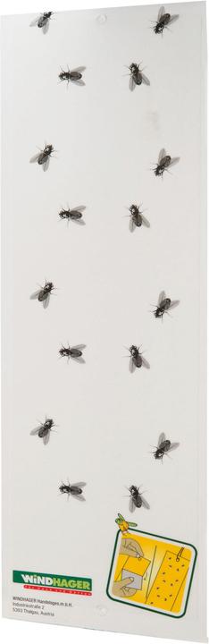 Produktbild Windhager Eco Fliegenfänger