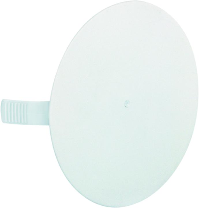 Immagine prodotto Steffen Rosa da soffitto