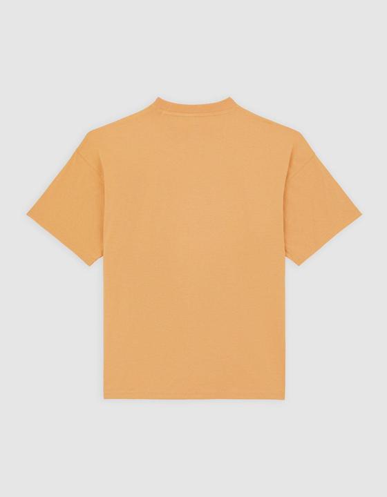 Produktbild Dickies Enterprise Tee Ss Oak Buff (M)