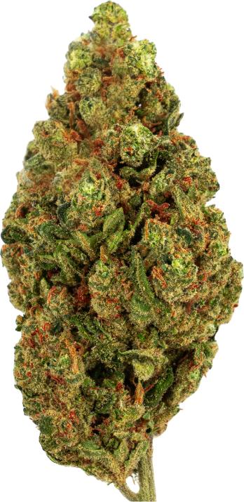 Produktbild Green Passion Passion Kush (Indoor) (2 g, Indoor)