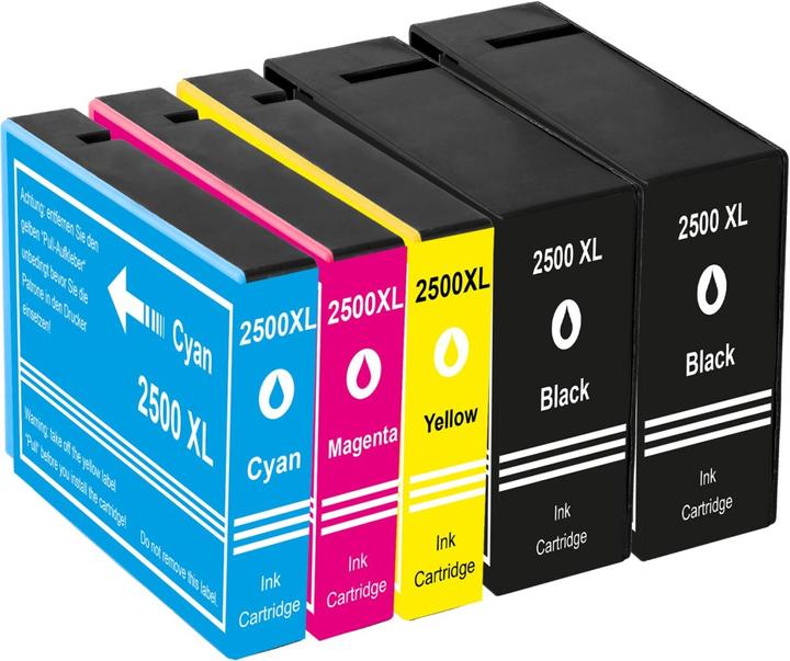 Actual product image Plutoos Canon PGI-2500XL cartridges compatible, set of 5 colours