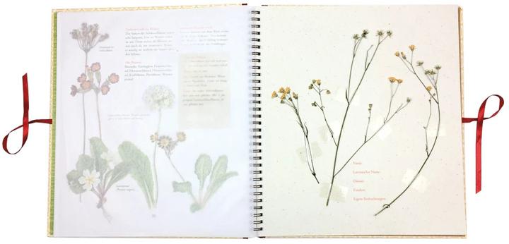 Produktbild Auf der Hummelwiese Das grosse Herbarium (Deutsch, Maj Fagerberg, Stefan Casta, Angelika Kutsch, 2018)