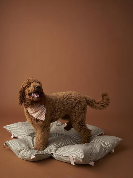 Produktbild Vertbaudet 2-in-1 Auto-Transporttasche für Hunde (Hund, Komplett zu öffnen)