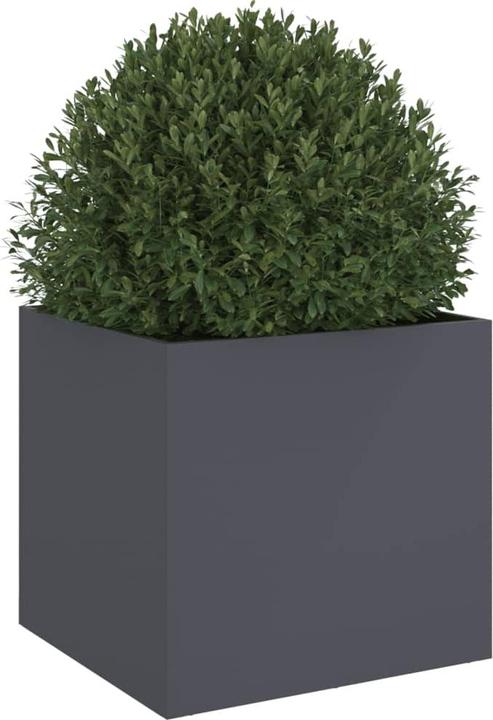 Image du produit vidaXL Saburo