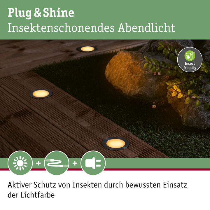 Produktbild Paulmann Outdoor Plug & Shine Floor Starterset Insect Friendly (100 lm, IP67)
