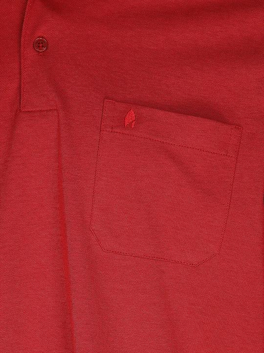 Actual product image Ragman Poloshirts (L)