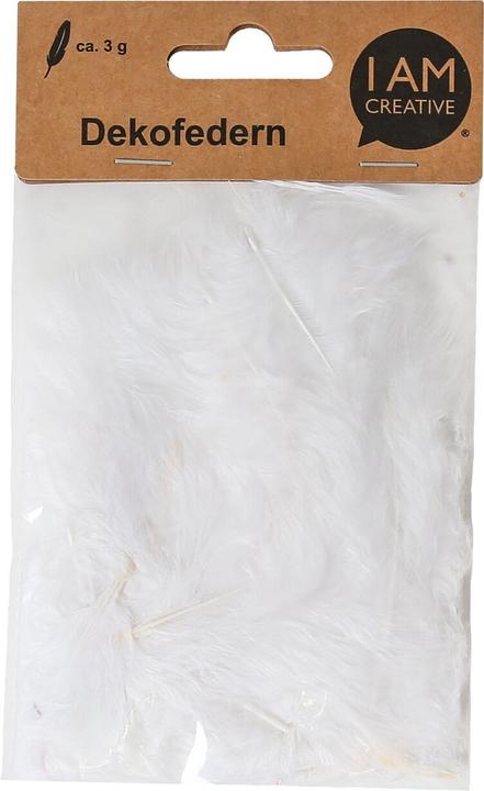 Actual product image I Am Creative Decorative feathers