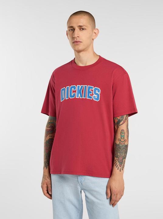 Produktbild Dickies Aitkin Ss Tee (M)