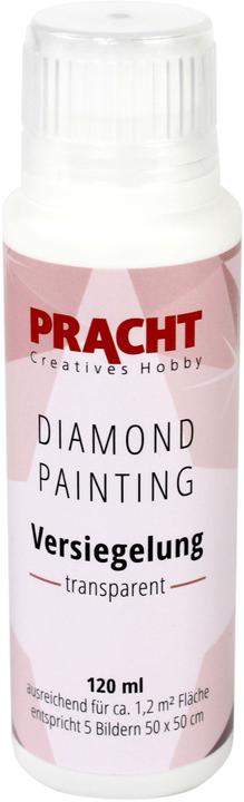 Actual product image Vedes Diamond Painting Sealing