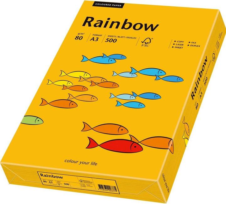 Image du produit Rainbow Papier à copier couleur A3 (A3, 500 feuilles, 80 g/m²)