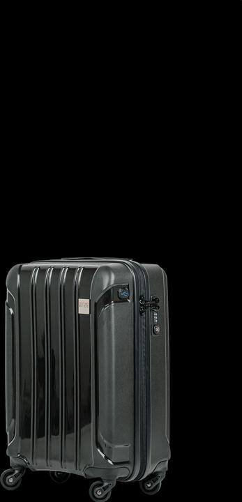 Swissbags Tourist (40 l)