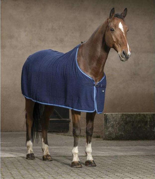 Image du produit Riding World Éponge Frotteedecke (165 cm)
