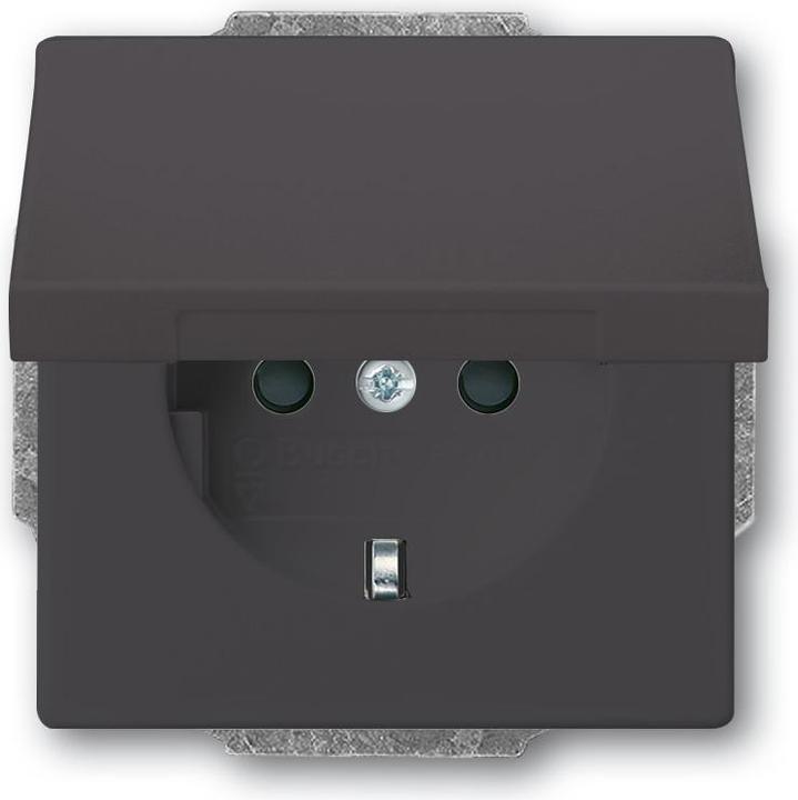 Actual product image Busch-Jaeger Socket