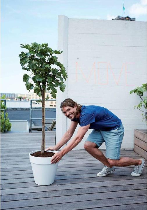 Image du produit Elho Loft urbain (38.50 cm)