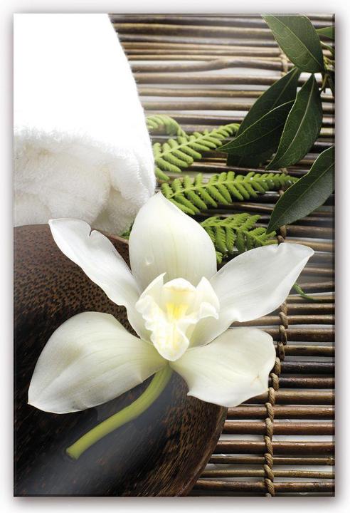 Actual product image Trenddeko Wellness orchid (60 x 40 cm)