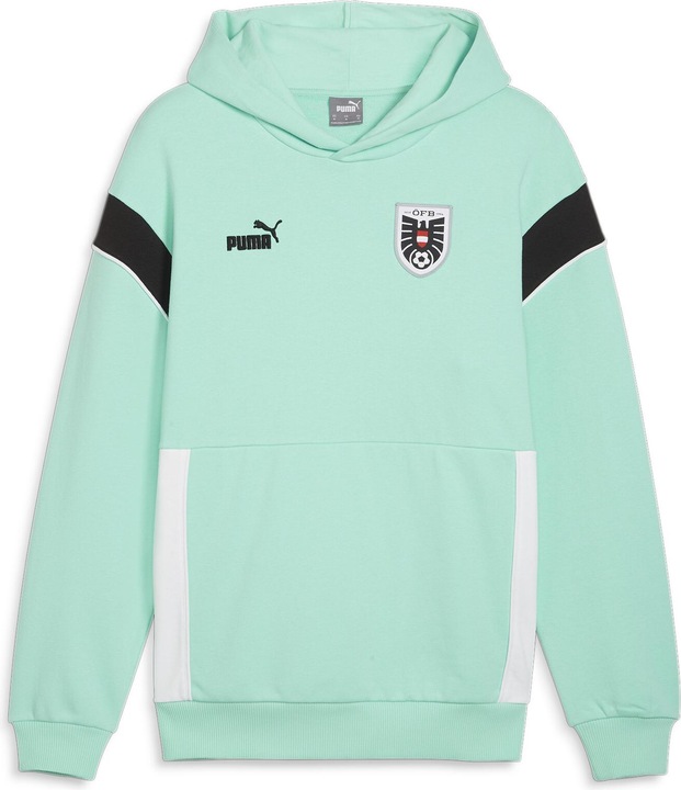 Actual product image Puma ÖFB FtblArchive Hoodie (M)