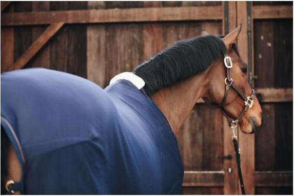 Actual product image Kentucky Horsewear Cooler Fleece Rug (140 cm)