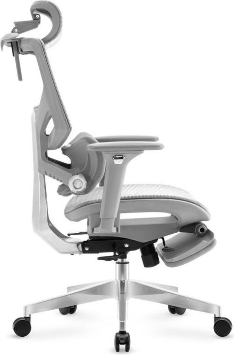 Immagine prodotto Mark Adler Esperto (48 - 56 cm)