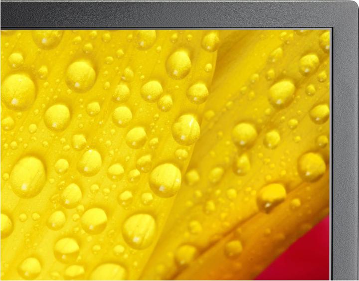 Productafbeelding Sharp M431-2 43 INCH UHD 500CD/SQM (3840 x 2160 Pixels, 43")