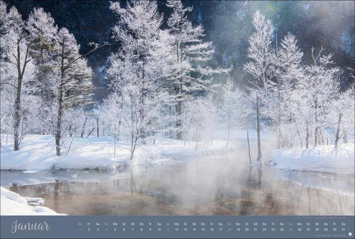 Actual product image Zauberwälder Edition Kalender 2026 (58 x 39 cm)