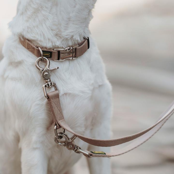 Image du produit Hunter Collier Inari Alu-Strong, M, Beige (M, Chien, Général)