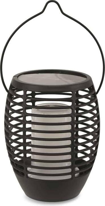 Actual product image ProGarden Iyanna