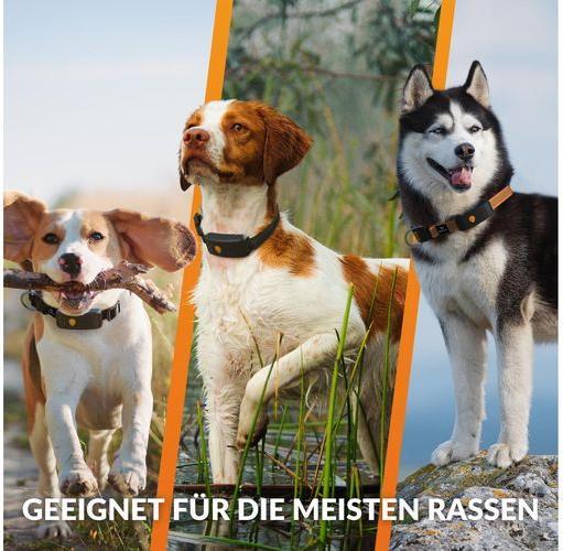 Image du produit Weenect Traceur GPS pour chiens (Chien, Général)
