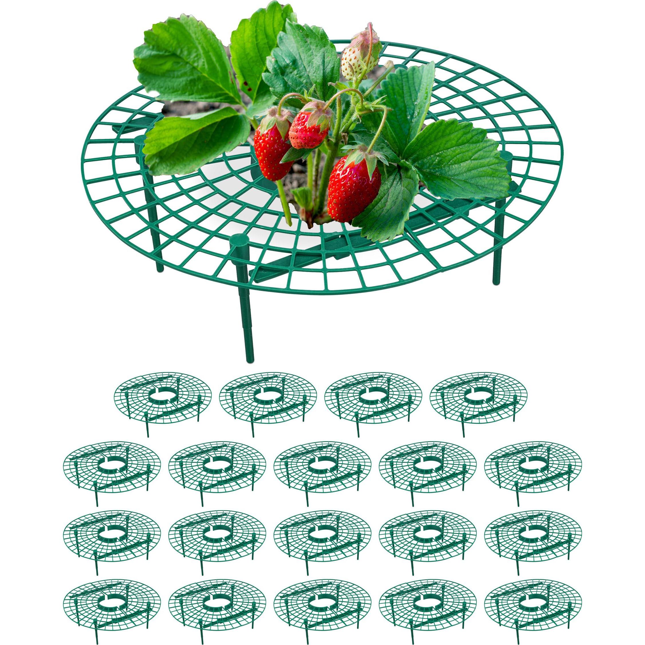 Relaxdays, Pflanzen Zubehör, 20x Erdbeerreifer (30 cm, 30 cm)