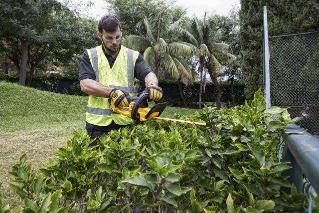 Actual product image DeWalt Cordless hedgecutter (Rechargeable battery operated)