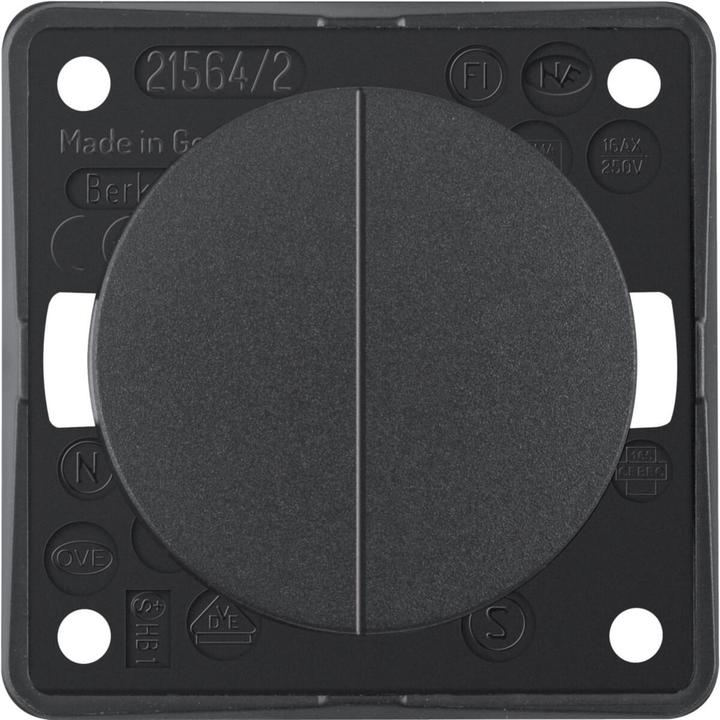 Actual product image Berker rocker switch