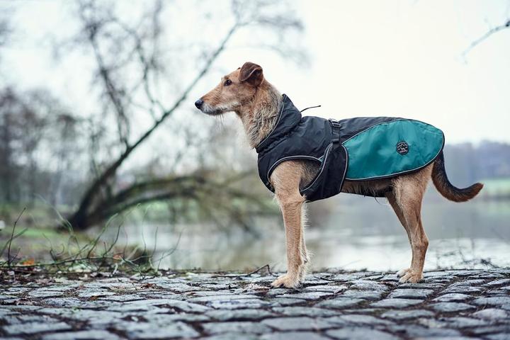 Actual product image Hunter Dog coat Uppsala Allrounder (55, Dog coat)