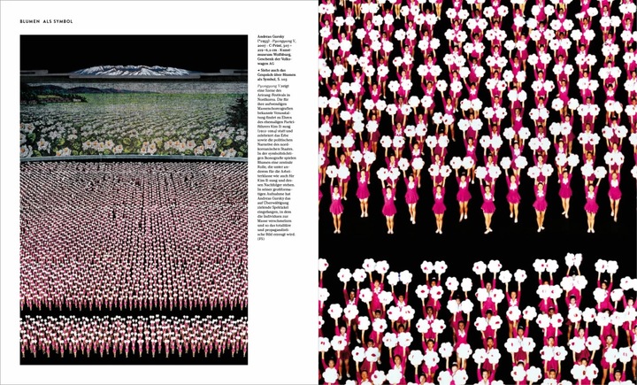 Produktbild Flowers Forever (Deutsch, Isabel Kranz, Gudrun Kadereit, Andreas Beyer, Randy Malamud, Silke Peters, D. Fairchild Ruggles, Inger Leemans, Michael John Gorman, 2023)