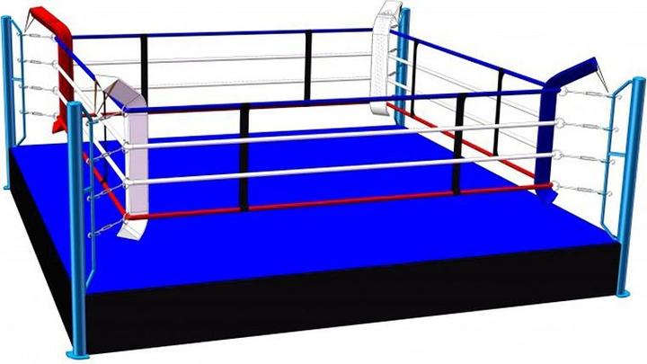 Produktbild Sport-Thieme Boxring Training