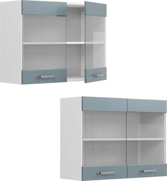 Body: WhiteFront: Blue-grey