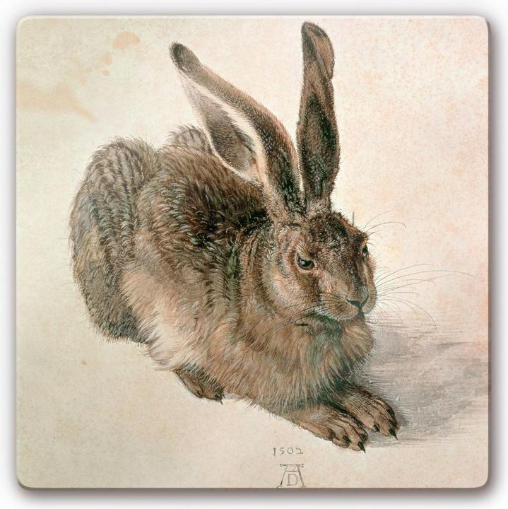 Trenddeko Dürer - Junger Feldhase