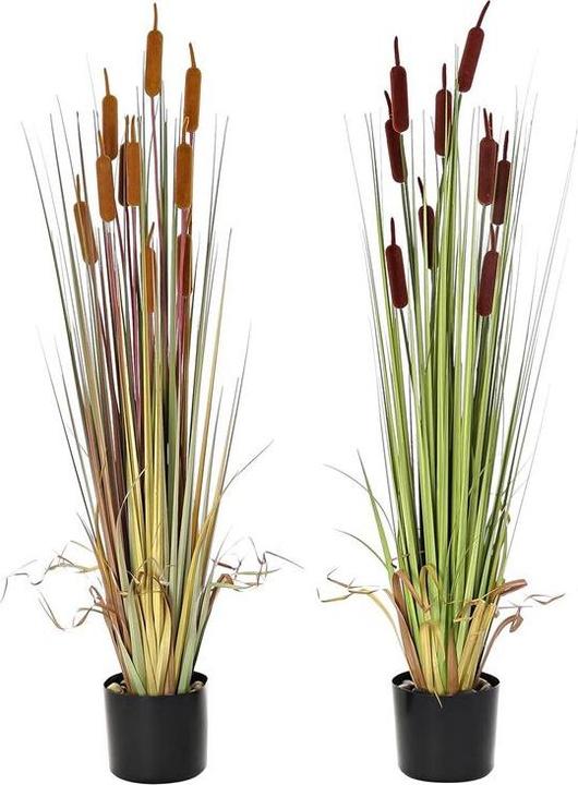 DKD Home Decor Decorative Plant Polyethylene Green Burgundy PVC 40 x 40 x 120 cm Mustard (2 Units) (120 cm)